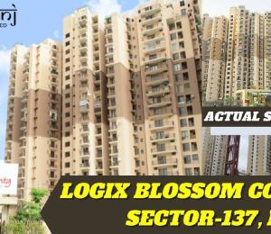 Logix Blossom County