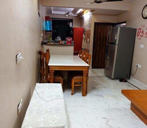 Mount Everest Apartment