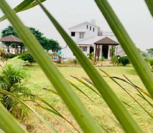 New Lush Green Farm House