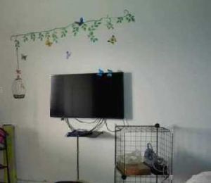 Shaman Vihar Apartment