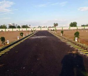 Tgp Highway City