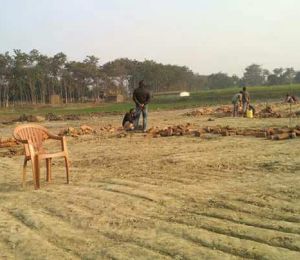 Suncity Township