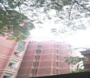 Young Aheria Apartment