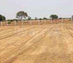Alliance County 2