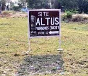 Altus Muirwoods