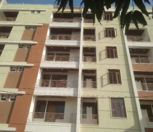 Urban Homes