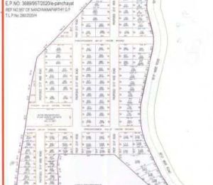 The Pharma Avenue