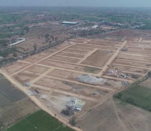 Tmr Green Meadows
