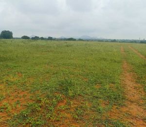 Anugraha Farms