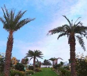 Green Valley Resort