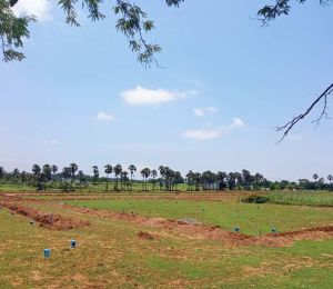 Arun Avenue Phase 2