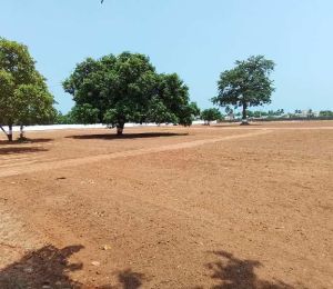Sai Padmanabham Estate