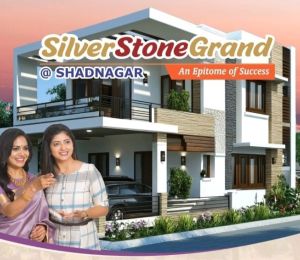 Silver Stone