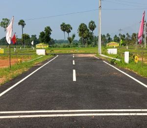 Selvalakshmi Nagar
