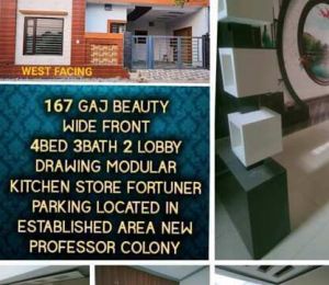 Professor Colony