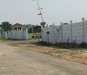 Shyam Vatika III