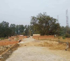 Radha Kunj