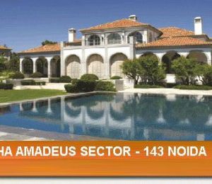 Amadeus - Sec-143