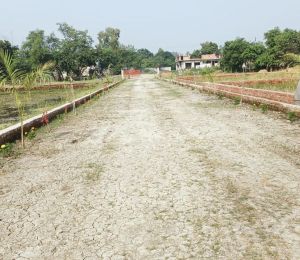 Maa Pitambara Estate