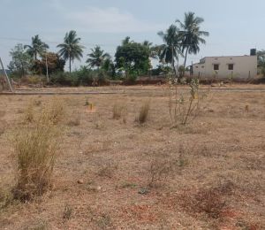 Rudra Colony