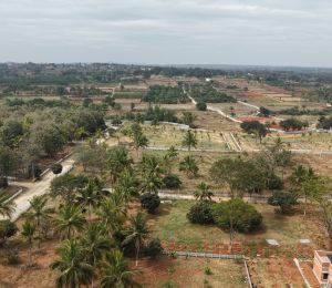 Madhuvan Farms