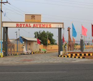 Royal Avenue