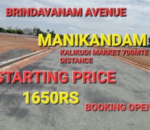 Brindavanam Avenue