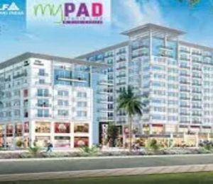 DLF My Pad