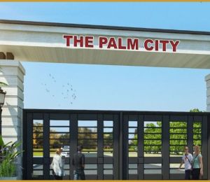 THE PALM VALLEY