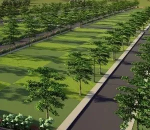 Lavoura Hill Side