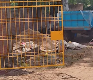 Swastik City