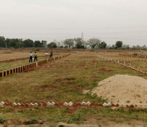 Orchard Green