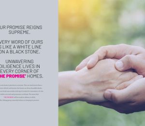 The Promise