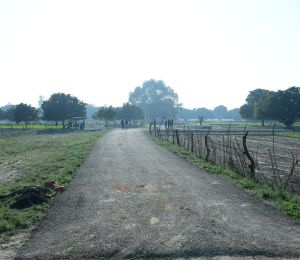 Sangam Green City