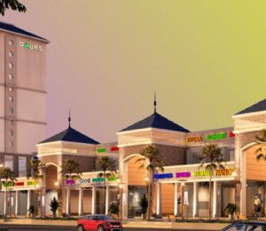 Gaur Aerocity Mall
