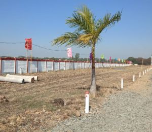 Kalindi Kunj Felisa