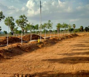Kanha Residency