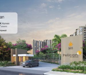 Skyi Pelican