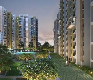 Provident Ecopolitan