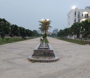 Ace Palm Floors