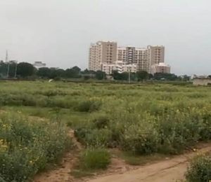 Mountain Valley
