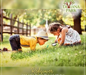 Diviana Park