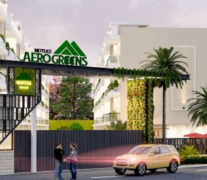 Motia Aerogreens
