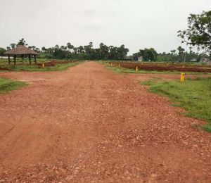 Nandanavanam Visishta