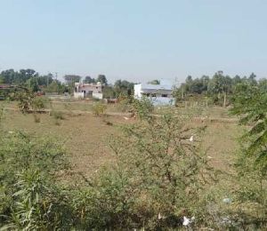 Balaji City