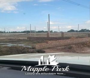 Mapple Park