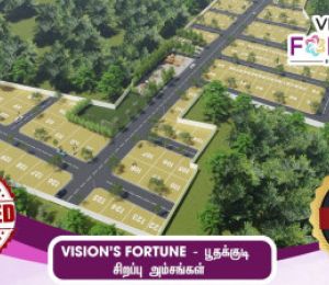 Vision Fortune
