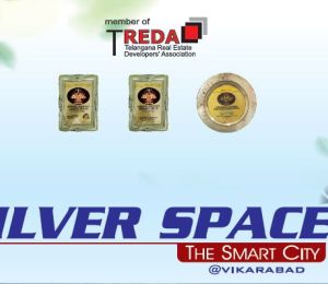 Silver Space
