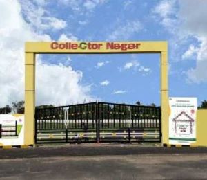 Collector Nagar