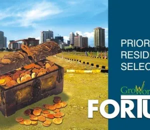 Groworth Fortune